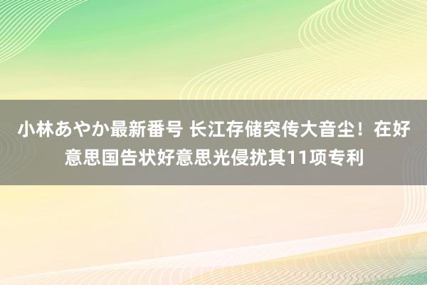 小林あやか最新番号 长江存储突传大音尘！在好意思国告状好意思光侵扰其11项专利