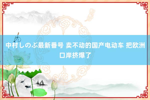 中村しのぶ最新番号 卖不动的国产电动车 把欧洲口岸挤爆了