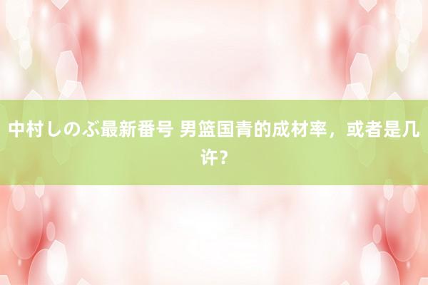 中村しのぶ最新番号 男篮国青的成材率，或者是几许？