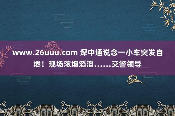 www.26uuu.com 深中通说念一小车突发自燃！现场浓烟滔滔……交警领导