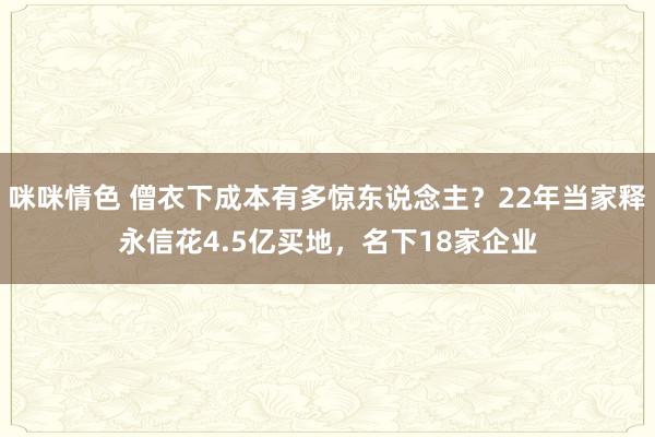 咪咪情色 僧衣下成本有多惊东说念主？22年当家释永信花4.5亿买地，名下18家企业