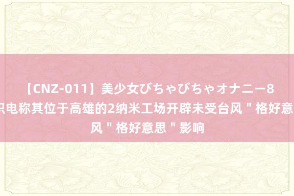 【CNZ-011】美少女びちゃびちゃオナニー8時間 台积电称其位于高雄的2纳米工场开辟未受台风＂格好意思＂影响