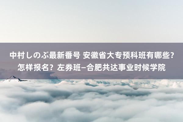 中村しのぶ最新番号 安徽省大专预科班有哪些？怎样报名？左券班—合肥共达事业时候学院