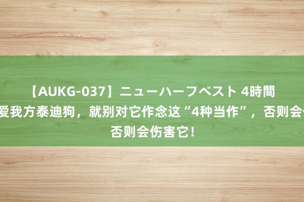 【AUKG-037】ニューハーフベスト 4時間 淌若疼爱我方泰迪狗，就别对它作念这“4种当作”，否则会伤害它！