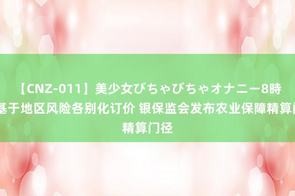 【CNZ-011】美少女びちゃびちゃオナニー8時間 基于地区风险各别化订价 银保监会发布农业保障精算门径