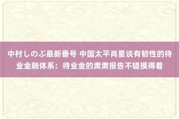 中村しのぶ最新番号 中国太平肖星谈有韧性的待业金融体系：待业金的肃肃报告不错摸得着