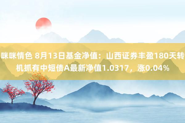 咪咪情色 8月13日基金净值：山西证券丰盈180天转机抓有中短债A最新净值1.0317，涨0.04%