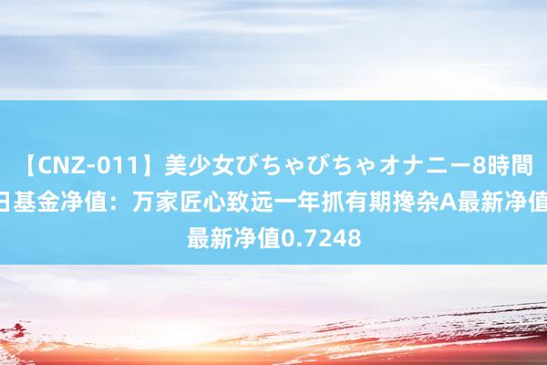 【CNZ-011】美少女びちゃびちゃオナニー8時間 8月13日基金净值：万家匠心致远一年抓有期搀杂A最新净值0.7248