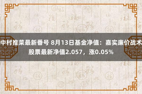 中村推菜最新番号 8月13日基金净值：嘉实廉价战术股票最新净值2.057，涨0.05%