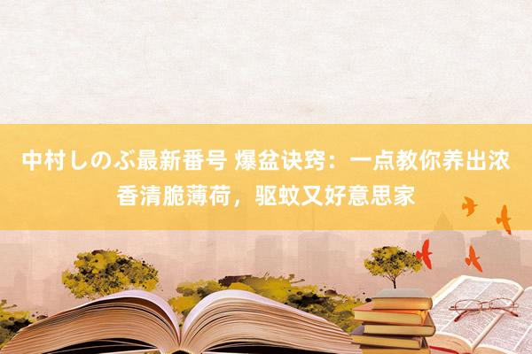 中村しのぶ最新番号 爆盆诀窍：一点教你养出浓香清脆薄荷，驱蚊又好意思家