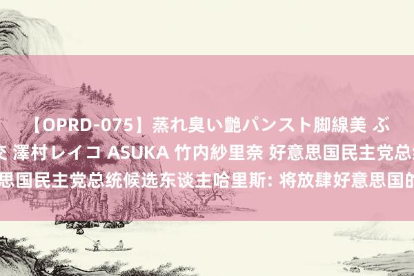 【OPRD-075】蒸れ臭い艶パンスト脚線美 ぶっかけゴックン大乱交 澤村レイコ ASUKA 竹内紗里奈 好意思国民主党总统候选东谈主哈里斯: 将放肆好意思国的住房清贫问题