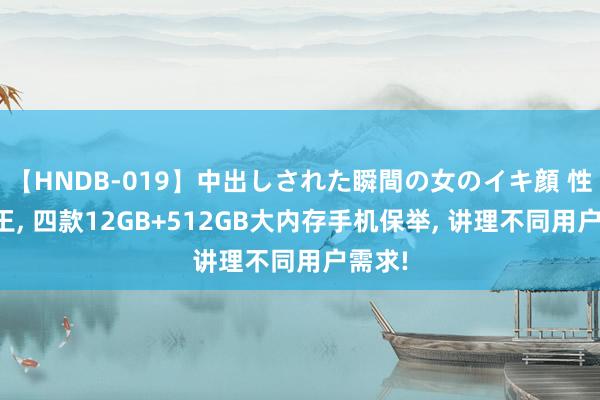 【HNDB-019】中出しされた瞬間の女のイキ顔 性能为王, 四款12GB+512GB大内存手机保举, 讲理不同用户需求!