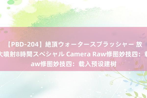 【PBD-204】絶頂ウォータースプラッシャー 放尿＆潮吹き大噴射8時間スペシャル Camera Raw修图妙技四：载入预设建树