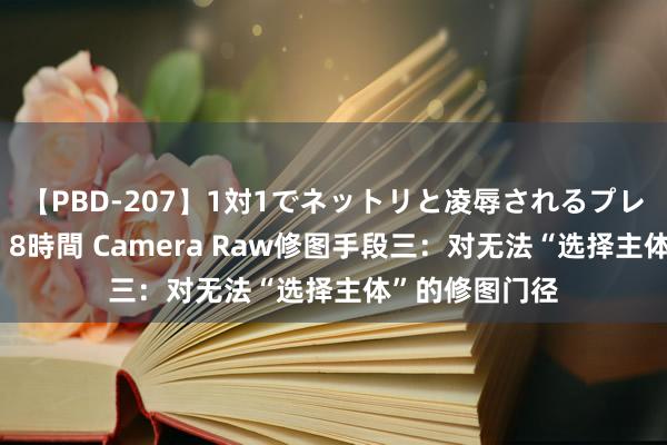 【PBD-207】1対1でネットリと凌辱されるプレミア女優たち 8時間 Camera Raw修图手段三：对无法“选择主体”的修图门径