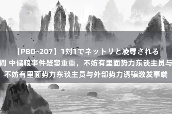 【PBD-207】1対1でネットリと凌辱されるプレミア女優たち 8時間 中储粮事件疑窦重重，不妨有里面势力东谈主员与外部势力诱骗激发事端