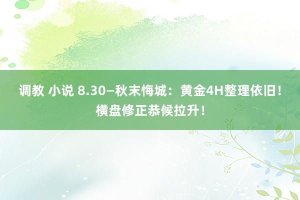 调教 小说 8.30—秋末悔城：黄金4H整理依旧！横盘修正恭候拉升！