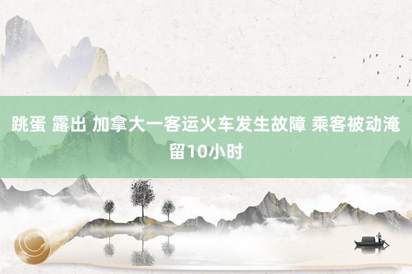 跳蛋 露出 加拿大一客运火车发生故障 乘客被动淹留10小时