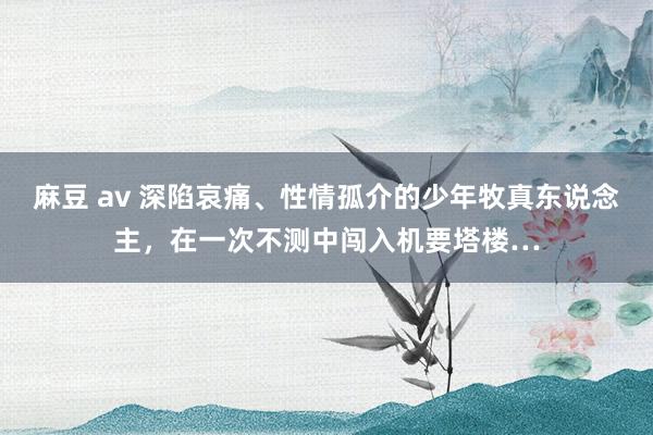 麻豆 av 深陷哀痛、性情孤介的少年牧真东说念主，在一次不测中闯入机要塔楼…